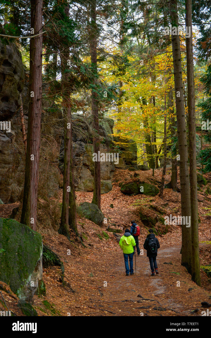 Malerweg bei Hohnstein, Saechsische Schweiz, Sachsen, Deutschland Foto Stock