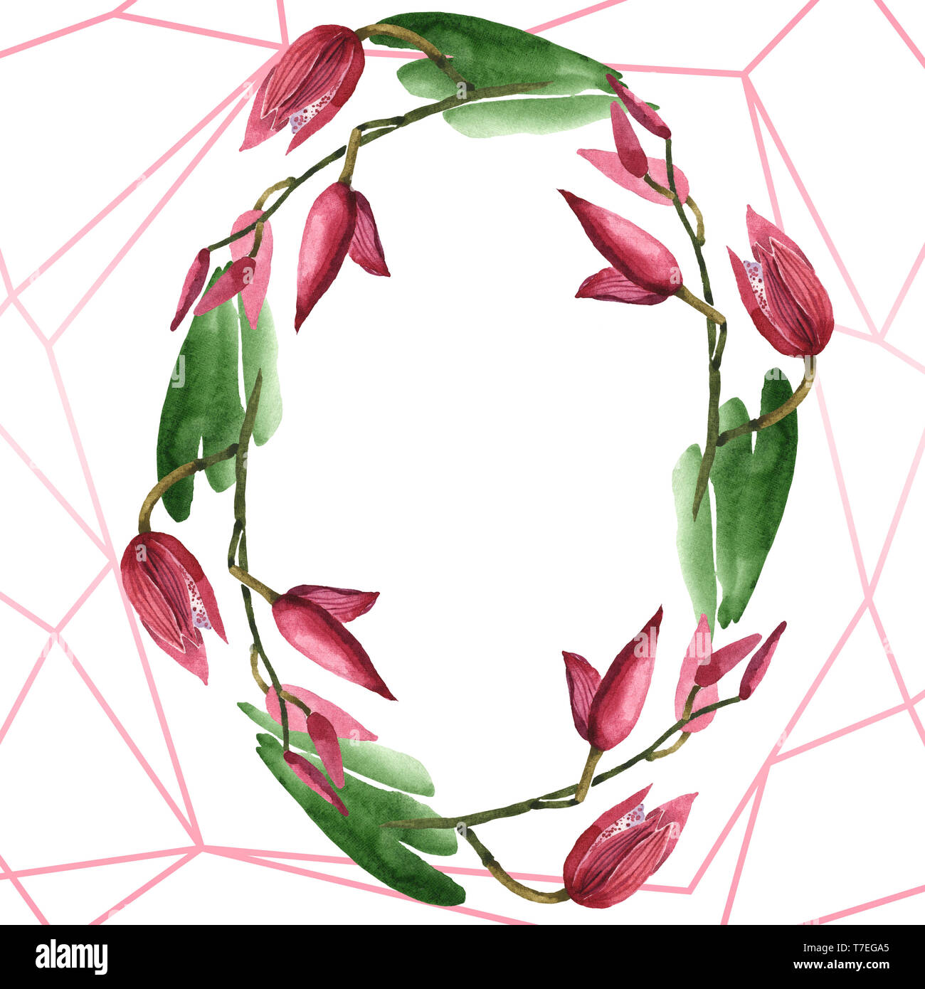 Marsala orchid floreale di fiori botanica. Wild molla a balestra di fiori selvaggi isolati. Acquerello illustrazione dello sfondo impostato. Disegno ad acquerello fashion aqu Foto Stock