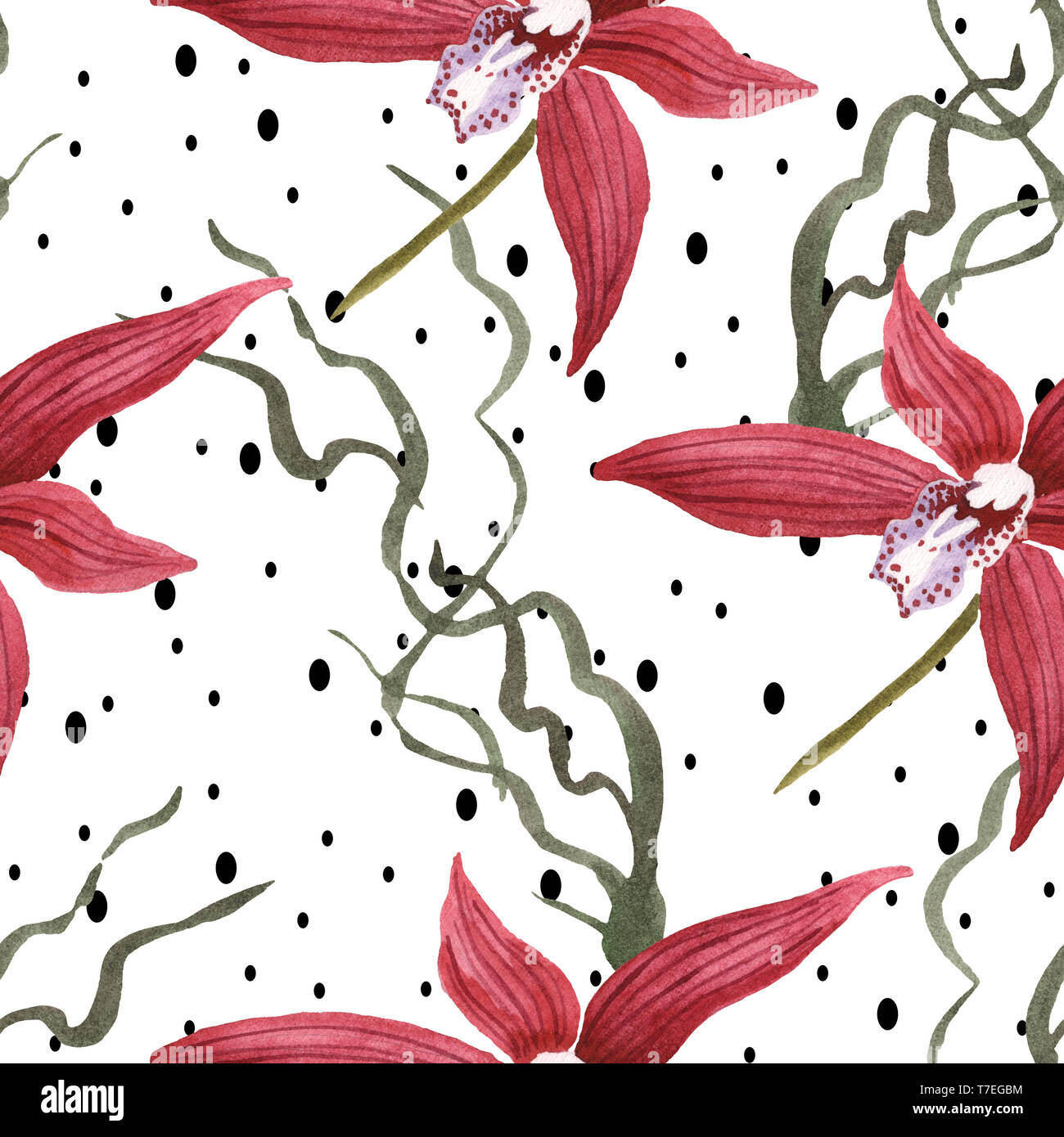 Marsala orchid fiori botanica. Wild molla a balestra di fiori selvaggi isolati. Illustrazione ad acquerello set. Disegno ad acquerello fashion aquarelle. B senza giunture Foto Stock