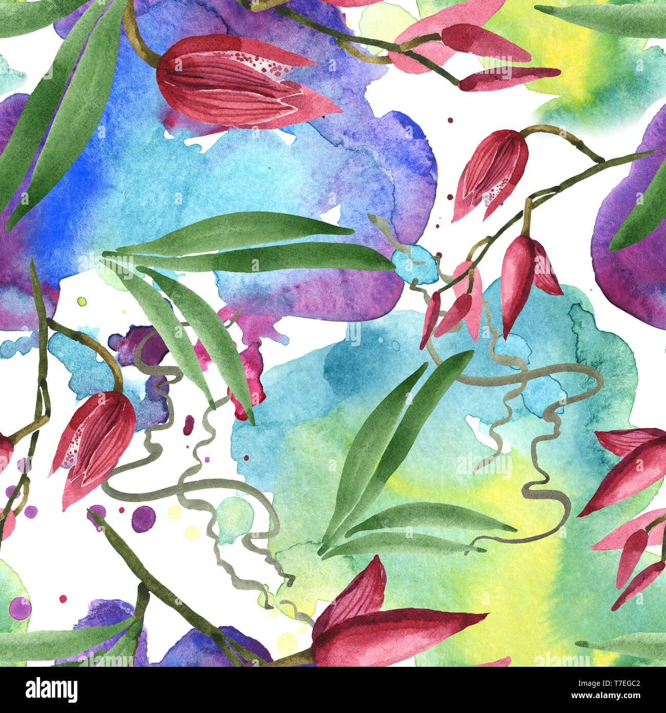 Marsala orchid fiori botanica. Wild molla a balestra di fiori selvaggi isolati. Illustrazione ad acquerello set. Disegno ad acquerello fashion aquarelle. B senza giunture Foto Stock