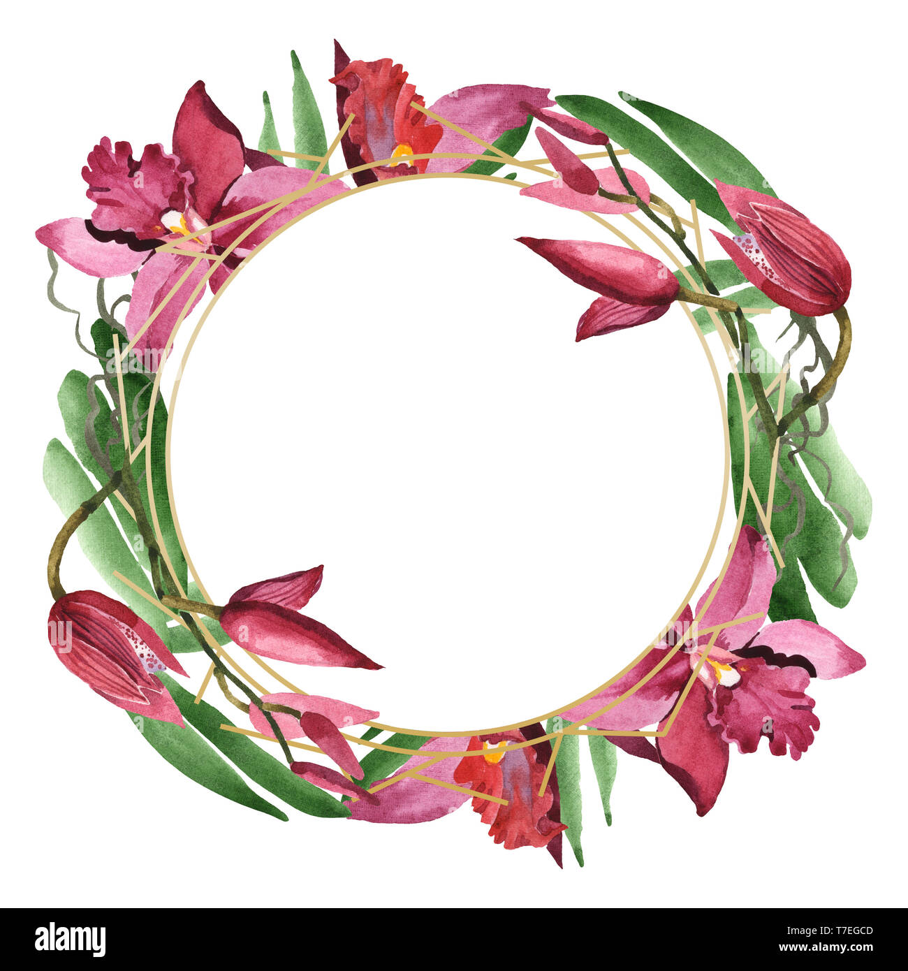 Marsala orchid floreale di fiori botanica. Wild molla a balestra di fiori selvaggi isolati. Acquerello illustrazione dello sfondo impostato. Disegno ad acquerello fashion aqu Foto Stock