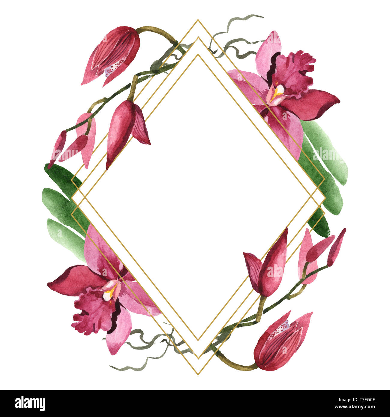 Marsala orchid floreale di fiori botanica. Wild molla a balestra di fiori selvaggi isolati. Acquerello illustrazione dello sfondo impostato. Disegno ad acquerello fashion aqu Foto Stock