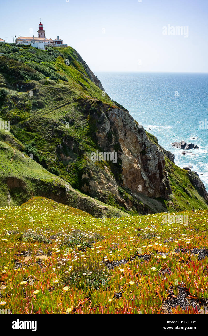 Faro e fiori selvatici a Cabo da Roca, Sintra, Portogallo Foto Stock