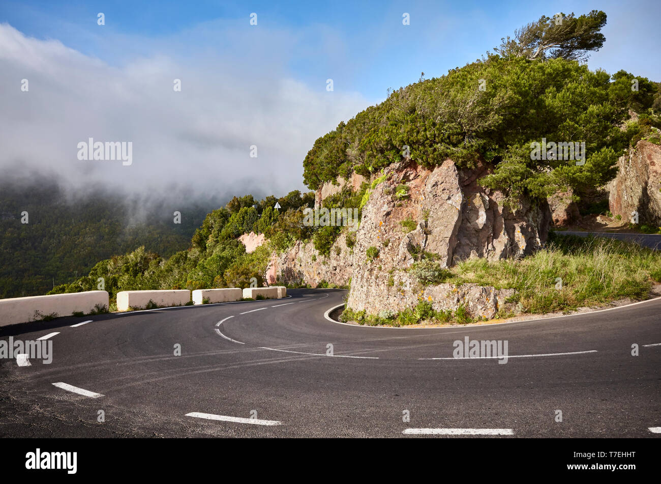 Panoramica strada piegare in Anaga mountain range, Tenerife, Isole Canarie, Spagna. Foto Stock