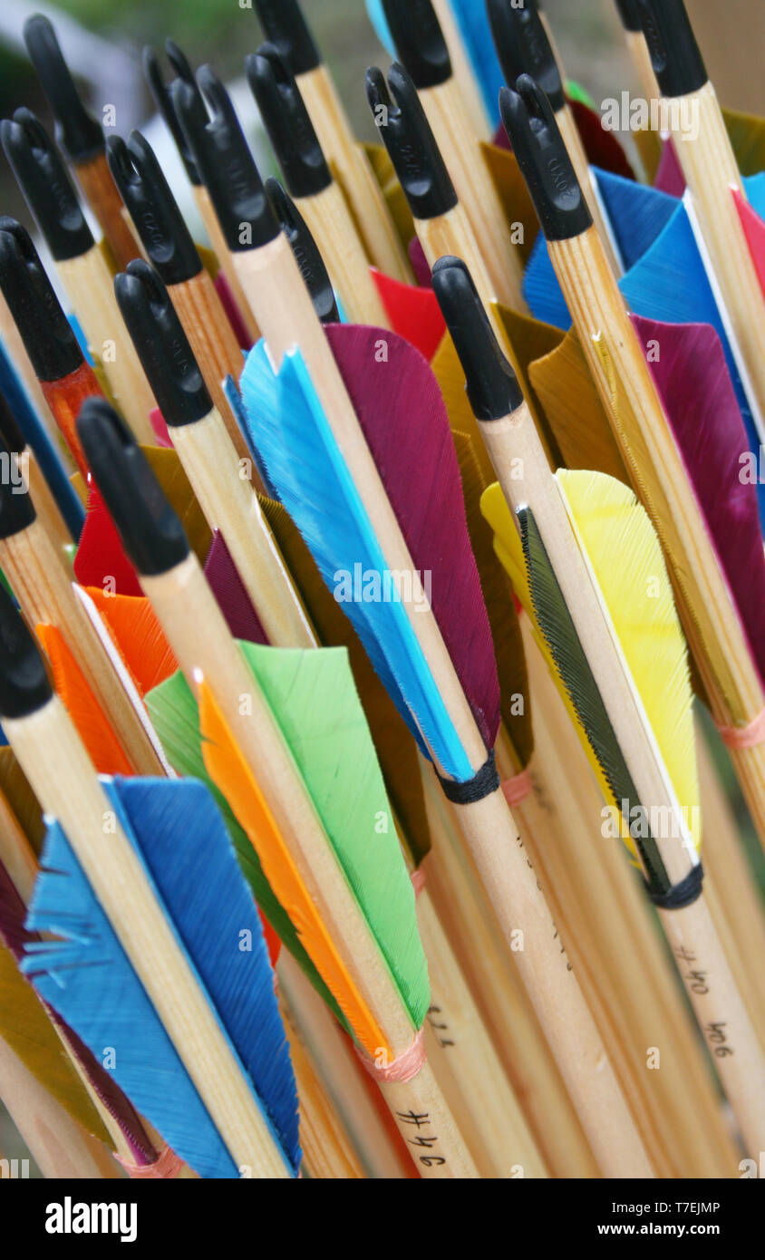 Un sacco di autentica medievale frecce in legno Foto Stock