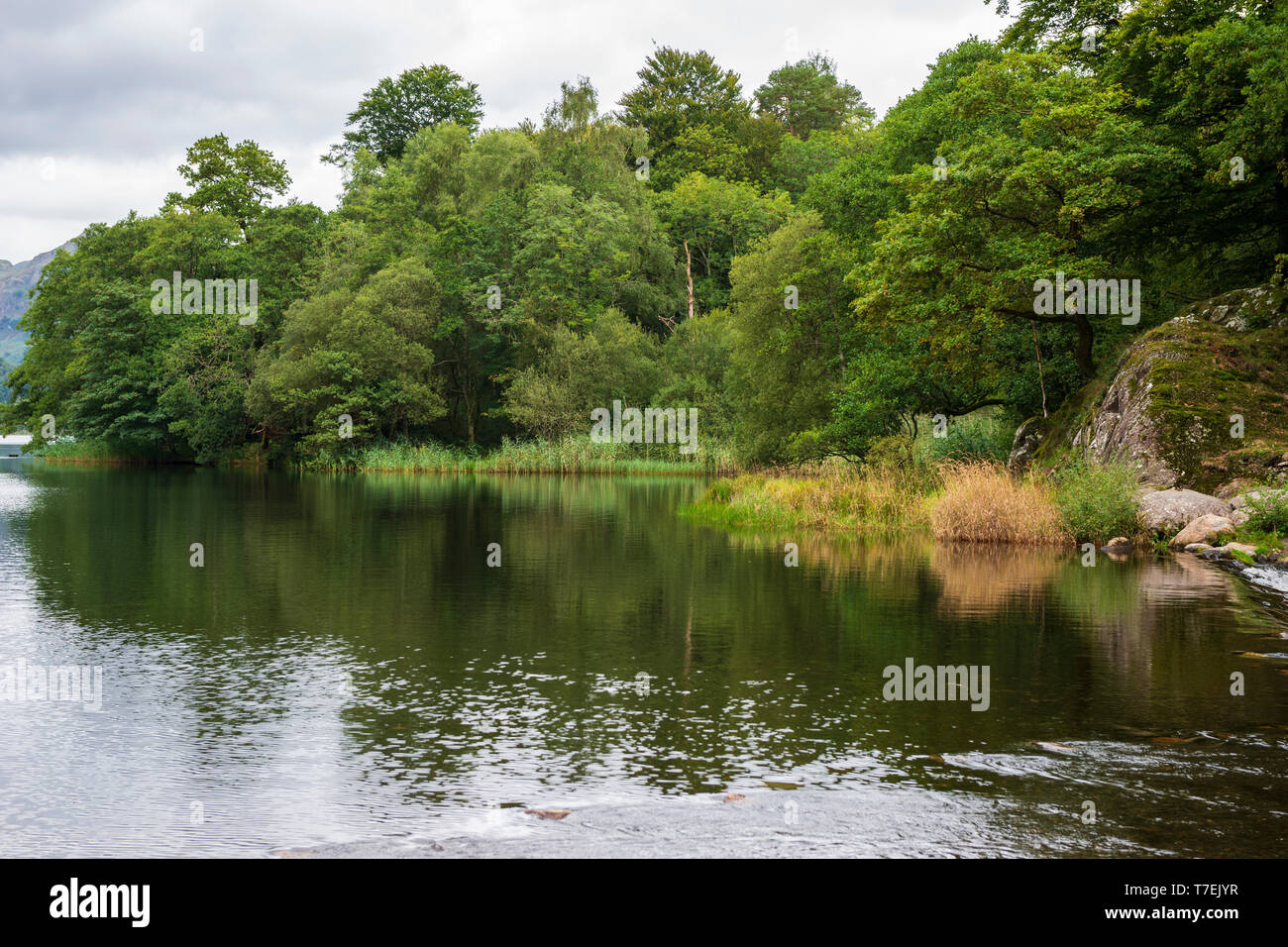 Weir a uscita di Grasmere Lake nel Parco Nazionale del Distretto dei Laghi, Cumbria, England, Regno Unito Foto Stock