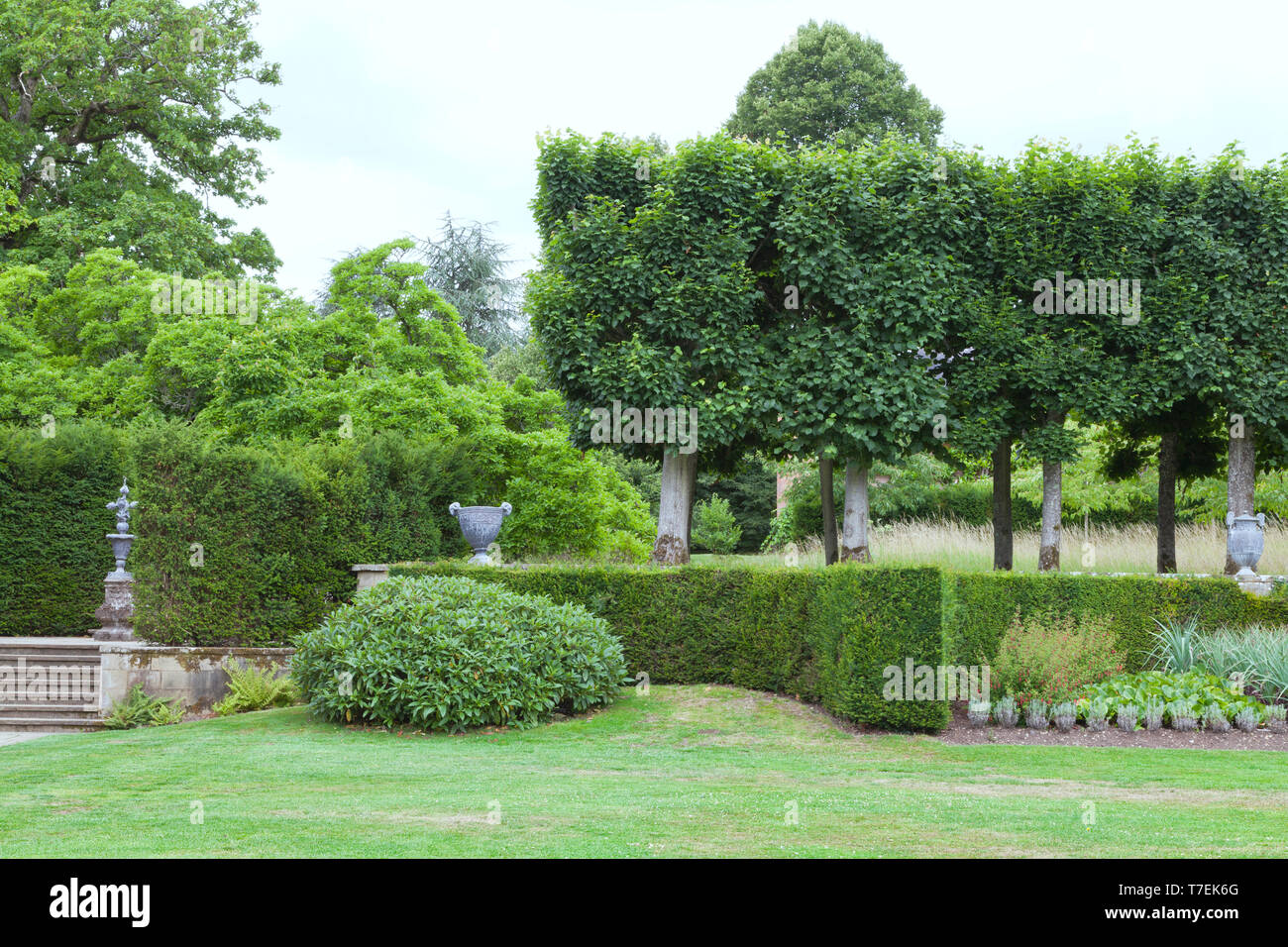 Giardino paesaggistico rifilato siepe, frondosi alberi, arbusti sempreverdi, ornamentali fioriere, su una soleggiata giornata estiva in un paesaggio inglese . Foto Stock