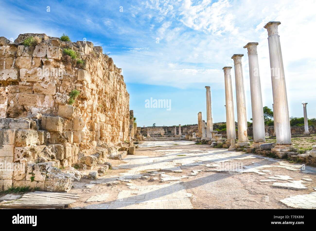 Splendida vista ben conservate rovine di Salamina a Cipro del Nord prese con magico cielo blu sopra. Foto Stock