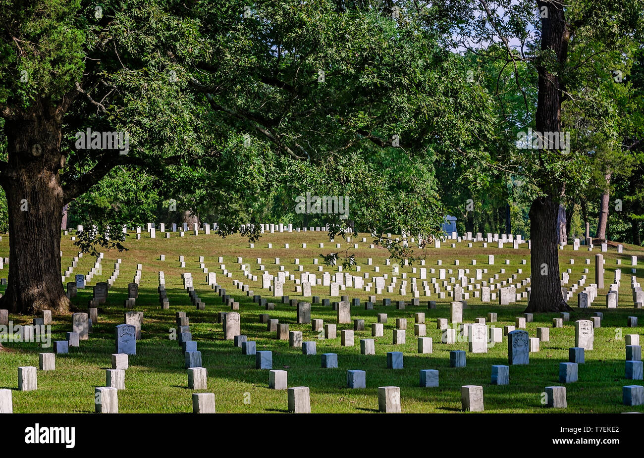 Lapidi mark guerra civile soldato' tombe a Sciloh Cimitero Nazionale a Sciloh National Military Park, Sett. 21, 2016 in Silo, Tennessee. Foto Stock
