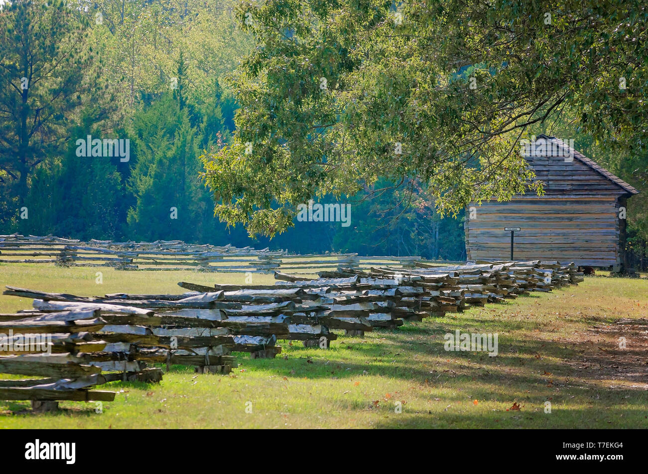 Shiloh National Military Park's peach orchard è circondata da un percorso a zig-zag split cancellata, Sett. 21, 2016 in Silo, Tennessee. Foto Stock