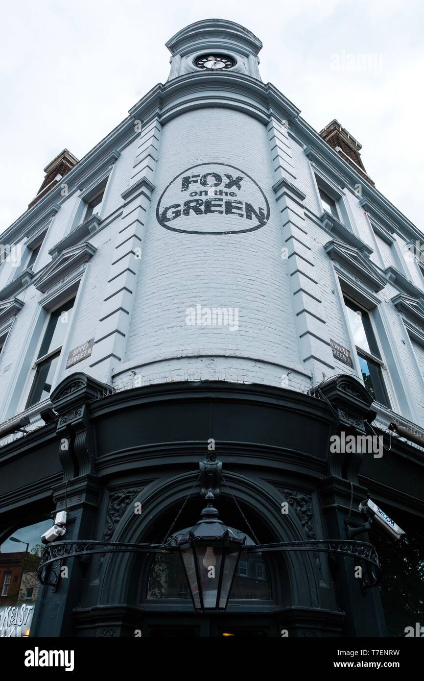 Fox sul verde, Upper Street, Londra Foto Stock