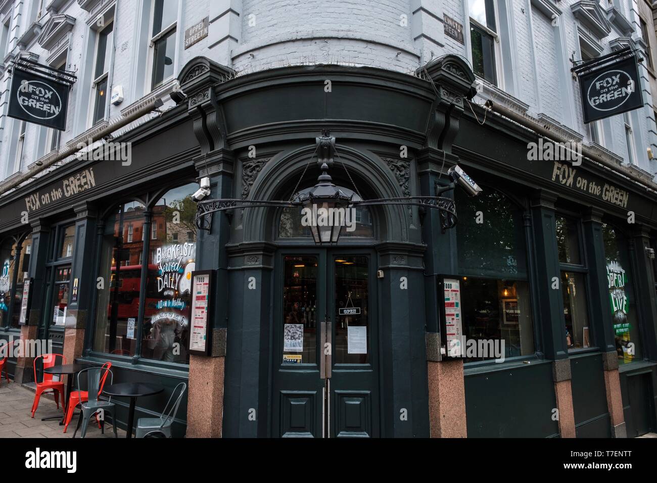 Fox sul verde, Upper Street, Londra Foto Stock