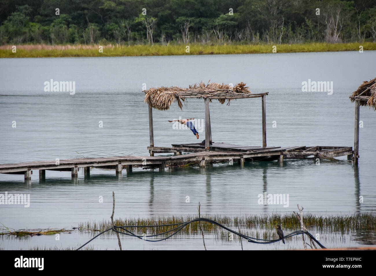 Giovane uomo saltando nel lago con una testata Foto Stock