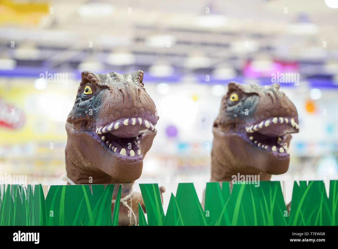 2 brown t-rex dei giocattoli di modello a testa da erba in plastica nella kids shop, Bangkok department store, Thailandia. Foto Stock