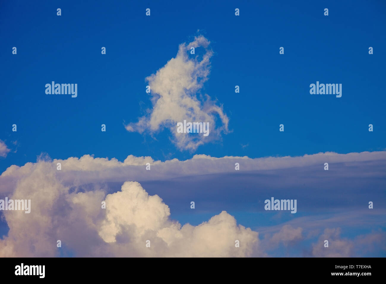 Puffy nubi in un cielo blu. Immagine di stock Foto Stock