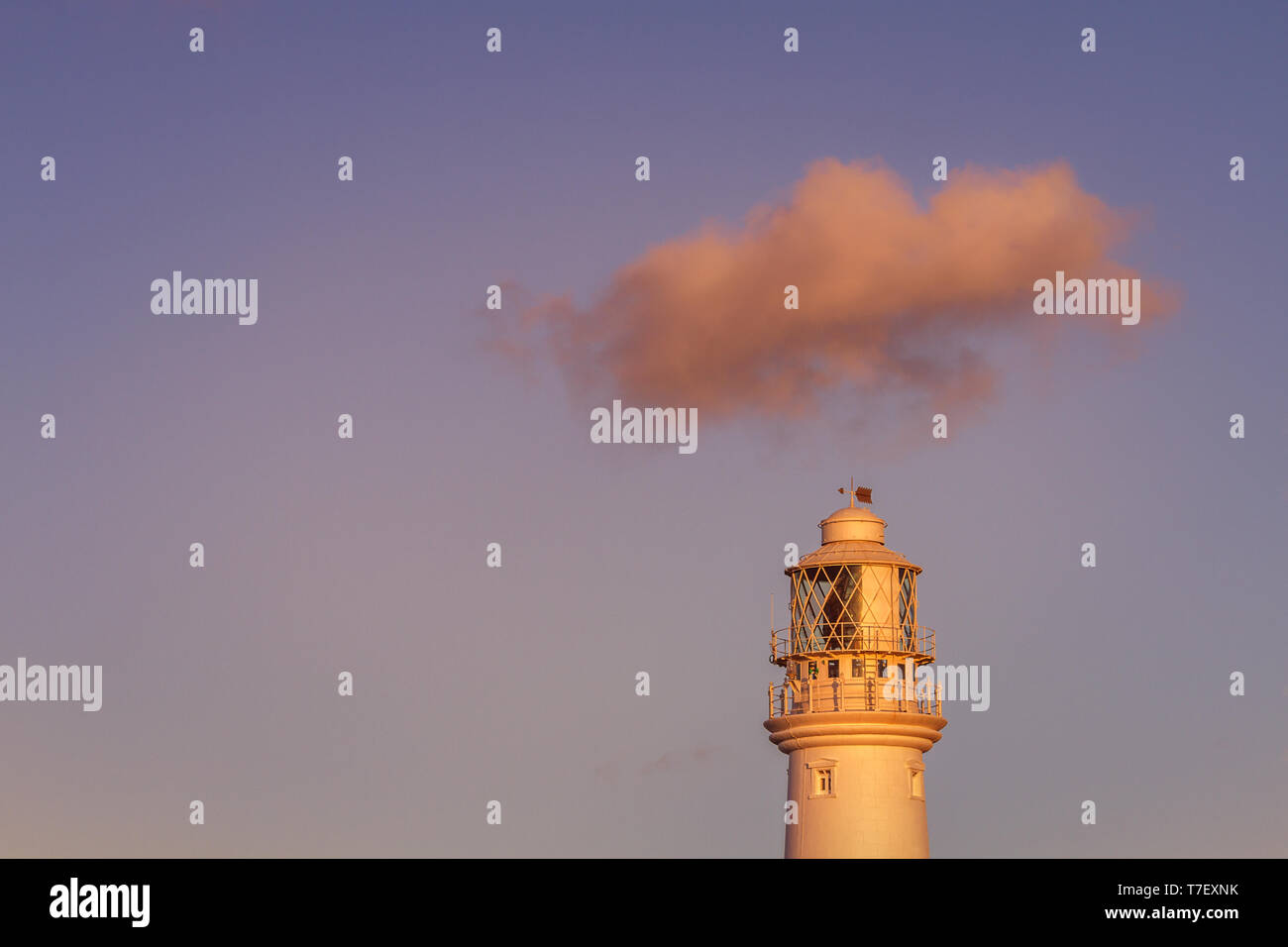 Vista di Flamborough faro al tramonto con un unico cloud che viaggiano oltre la parte superiore nel cielo blu e rosa luce del sole al tramonto, East Yorkshire, Regno Unito Foto Stock