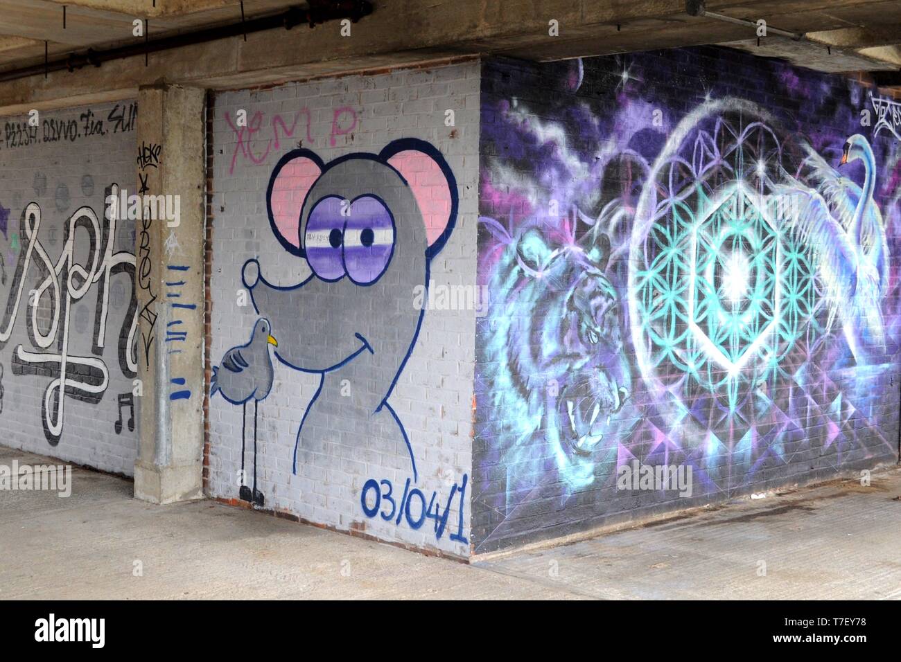 Graffiti in car pack sotto il sole Pier House, Chatham, Kent, Regno Unito. Foto Stock