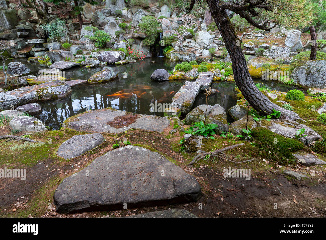 Bupposhoryuji Giardino del Tempio, il lago Suwa - i giardini sono composte in diverse aree che circondano il tempio hall principale. Questi sono i resti del M Foto Stock