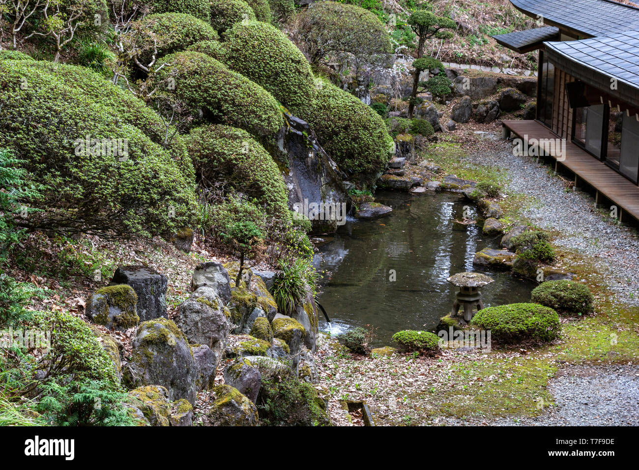 Hokkeji Giardino del Tempio è accanto alla Kaminomiya a Suwa Taisha con un suggestivo laghetto giardino. Ci sono satsuki azalee piantate sul pendio Foto Stock