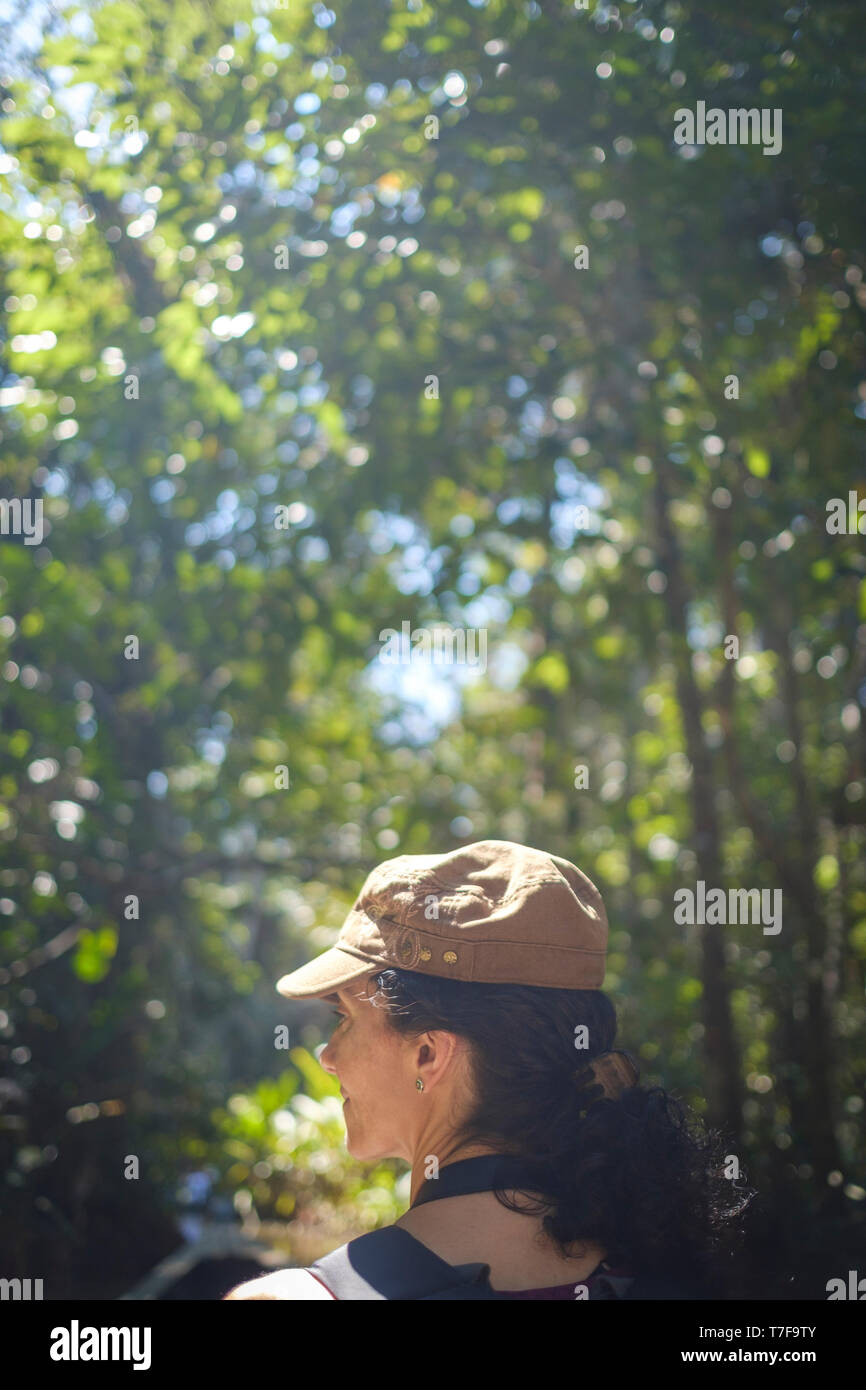 Donna turistica per arrivare in mangoves su una barca per raggiungere il Lago Sandoval in Amazzonia peruviana bacino, Perù Foto Stock