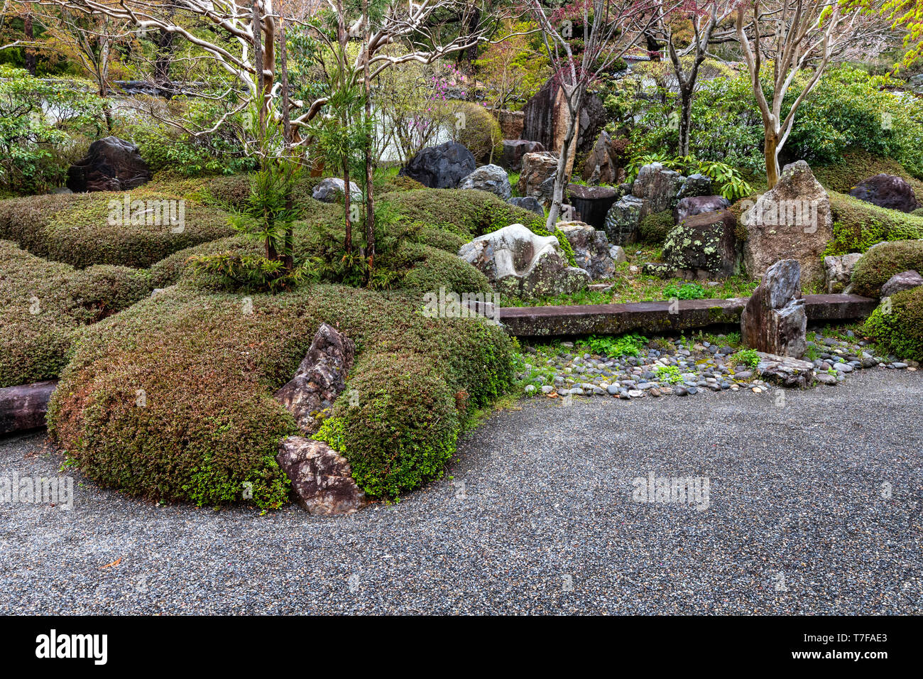 Kozanji tempio giace lungo la strada Nakasendo in Kiso. Esso è stato originariamente fondato durante il periodo Kamakura. Il tempio e il suo giardino sono stati recon Foto Stock