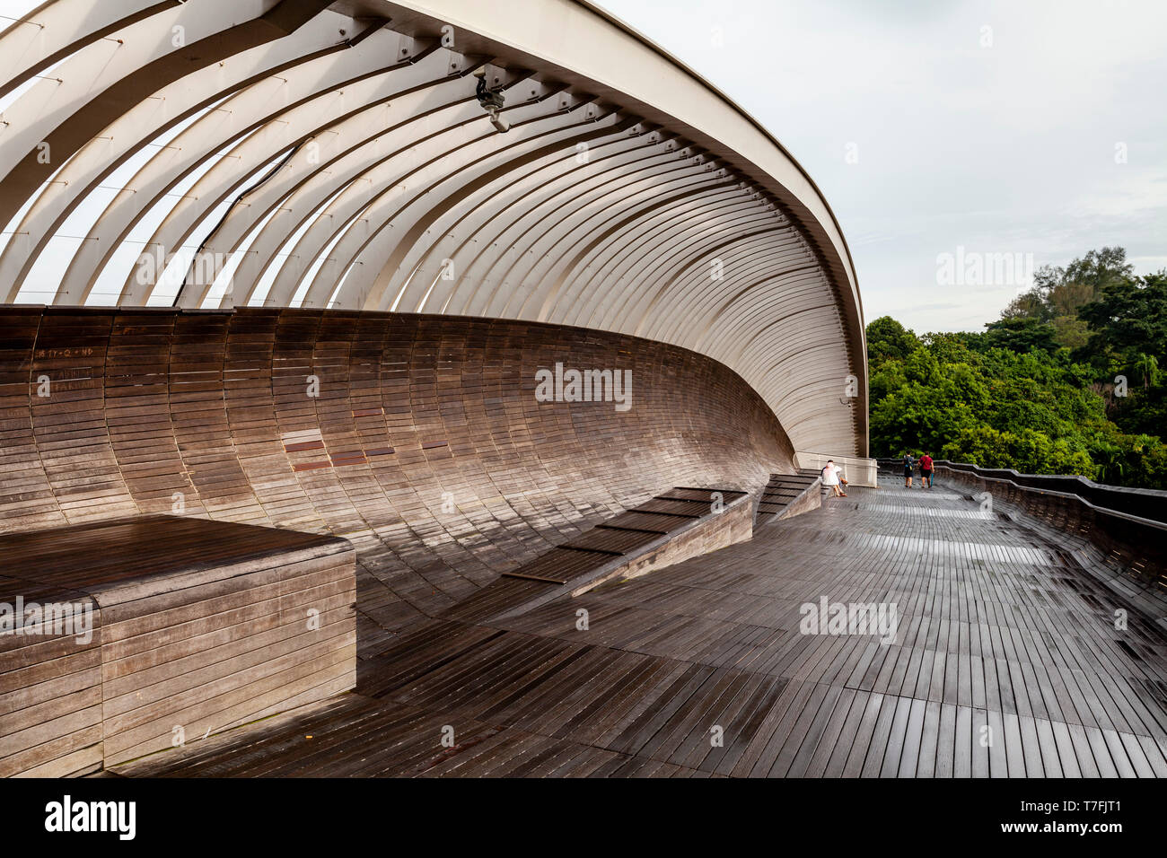 Le onde di Henderson Bridge, Singapore, Sud-est asiatico Foto Stock