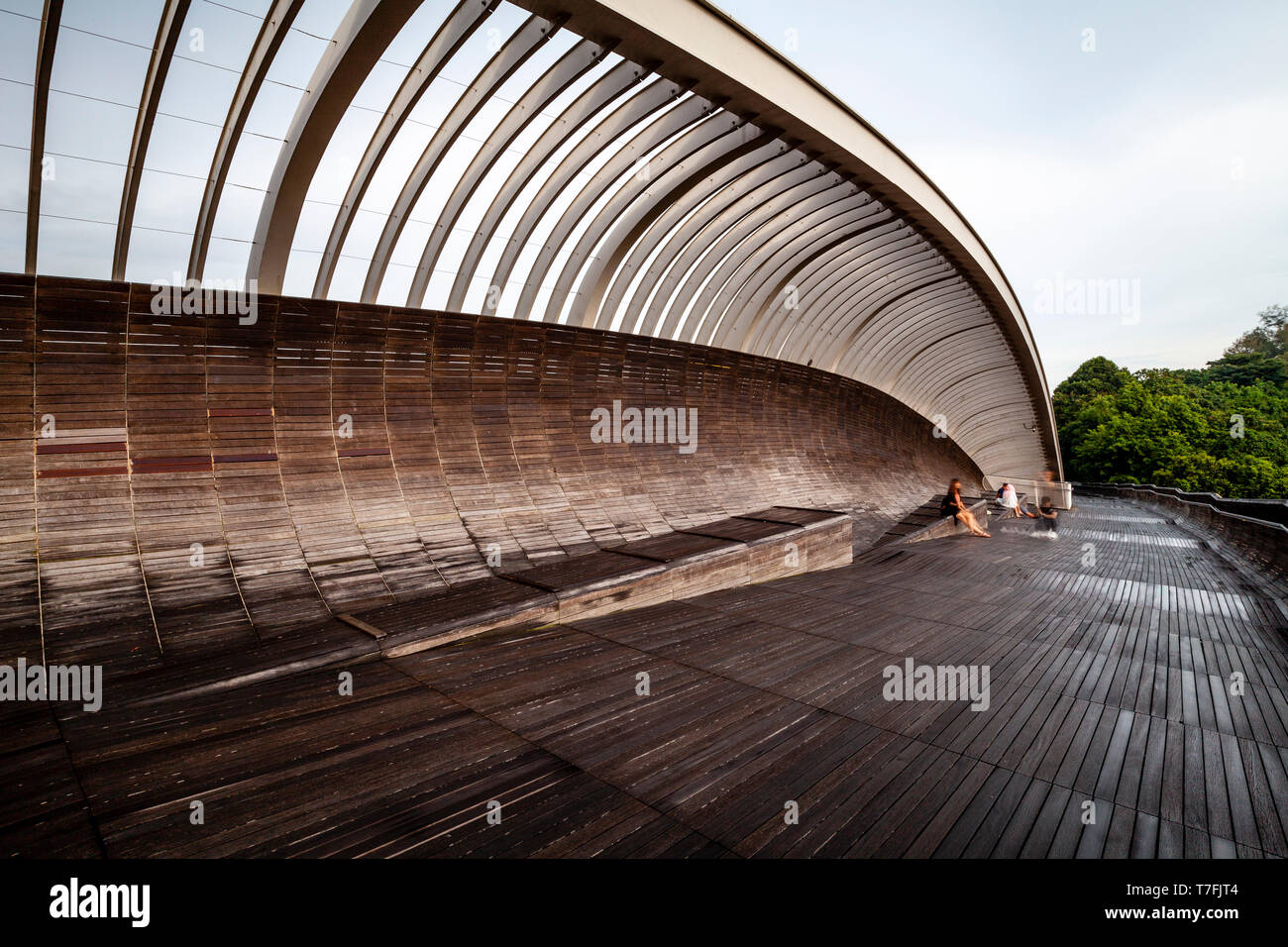 Le onde di Henderson Bridge, Singapore, Sud-est asiatico Foto Stock