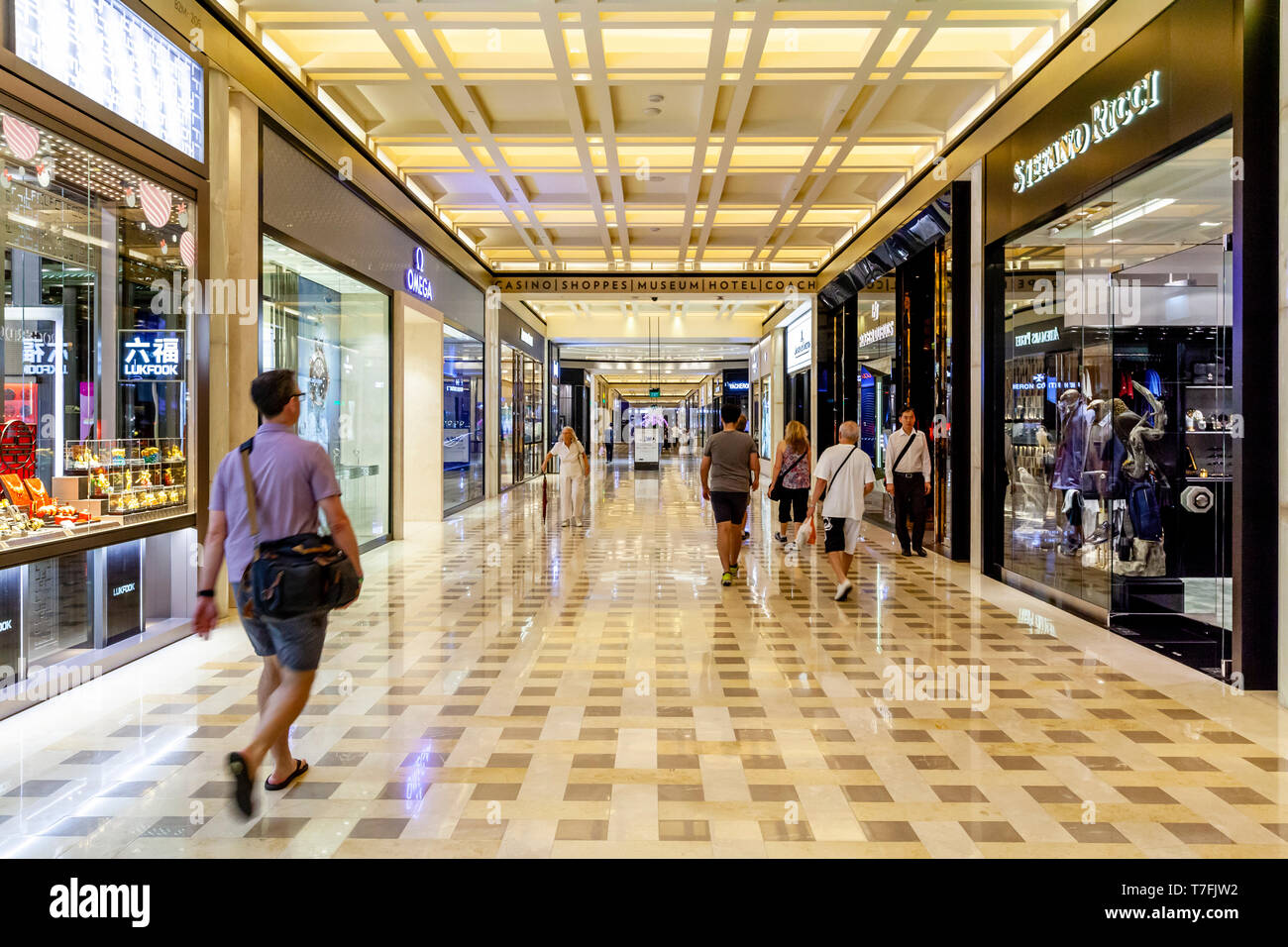 Il Shoppes at Marina Bay Sands, Singapore, Sud-est asiatico Foto Stock