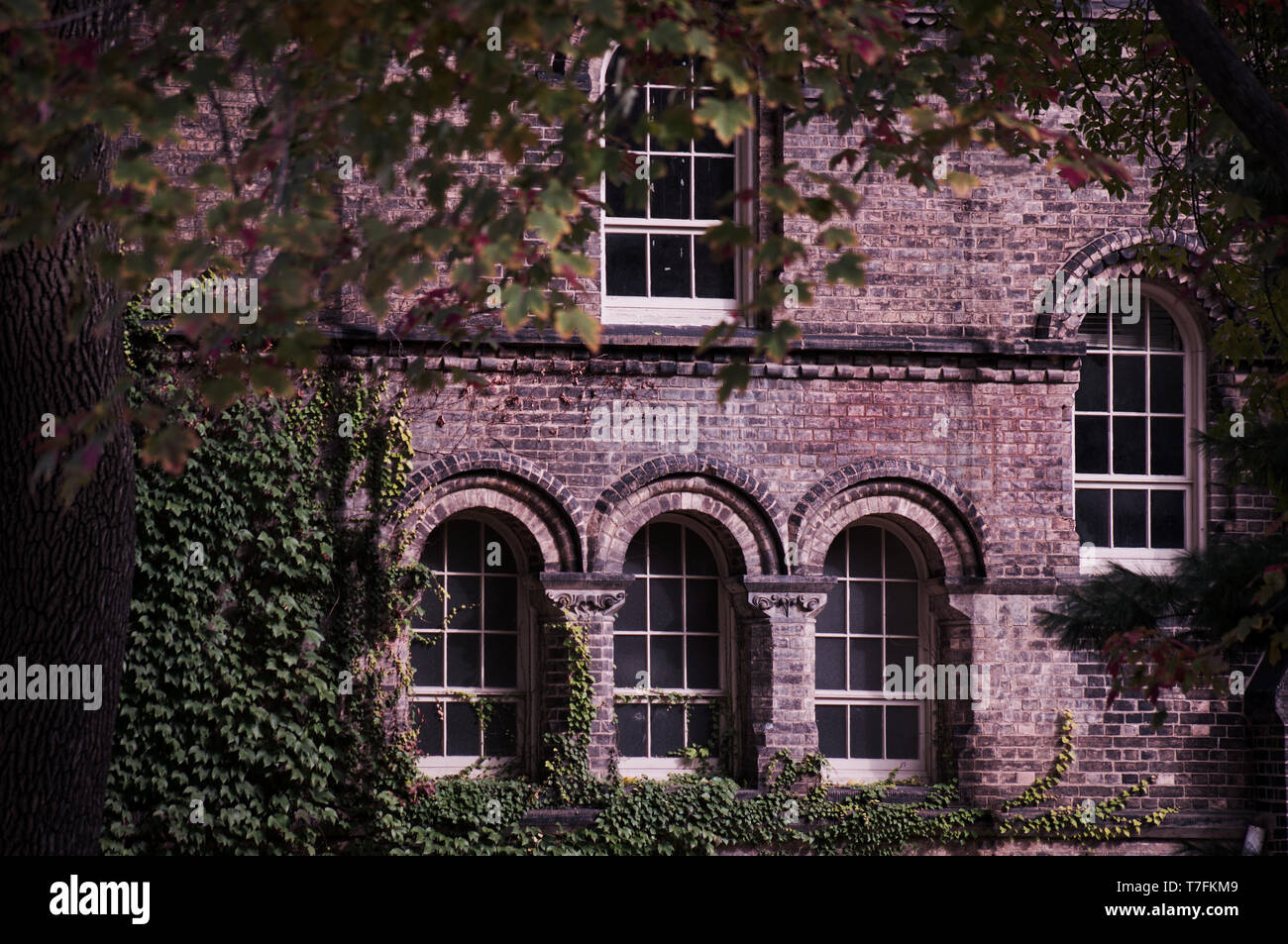 Vecchia facciata di edificio in mattoni con finestre ad arco e angolo di edera visto attraverso i rami di alberi telaio Foto Stock