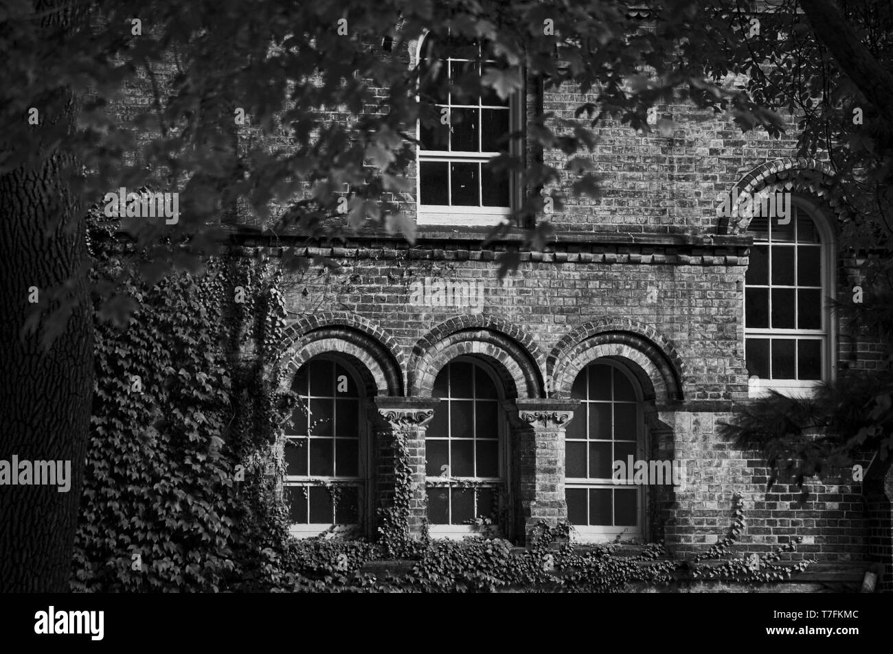 Vecchia facciata di edificio in mattoni con finestre ad arco e angolo di edera visto attraverso i rami di alberi telaio Foto Stock