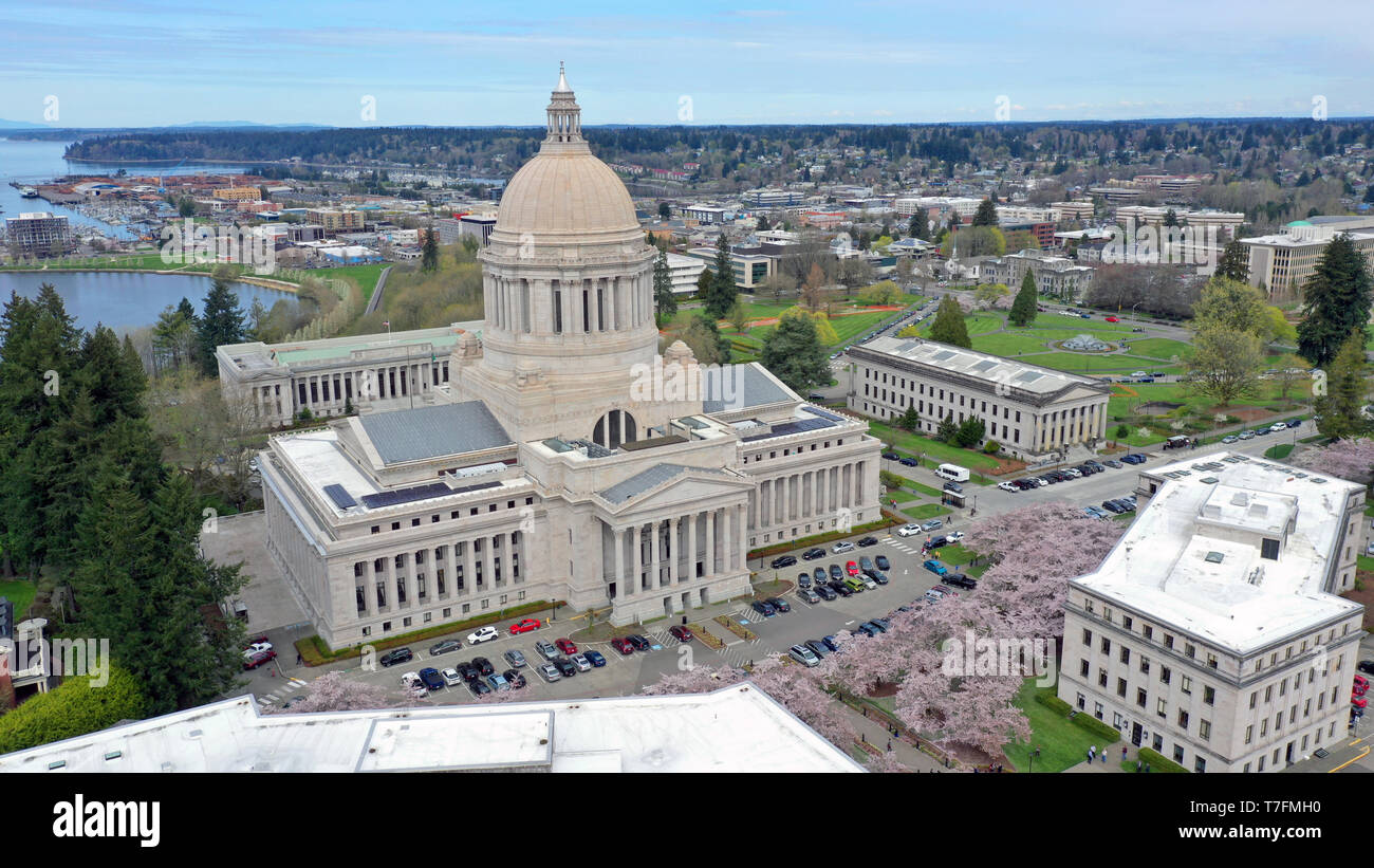 La prospettiva aerea sopra la molla Fiori Ciliegio a Washington la capitale dello Stato edificio in Olympia Foto Stock