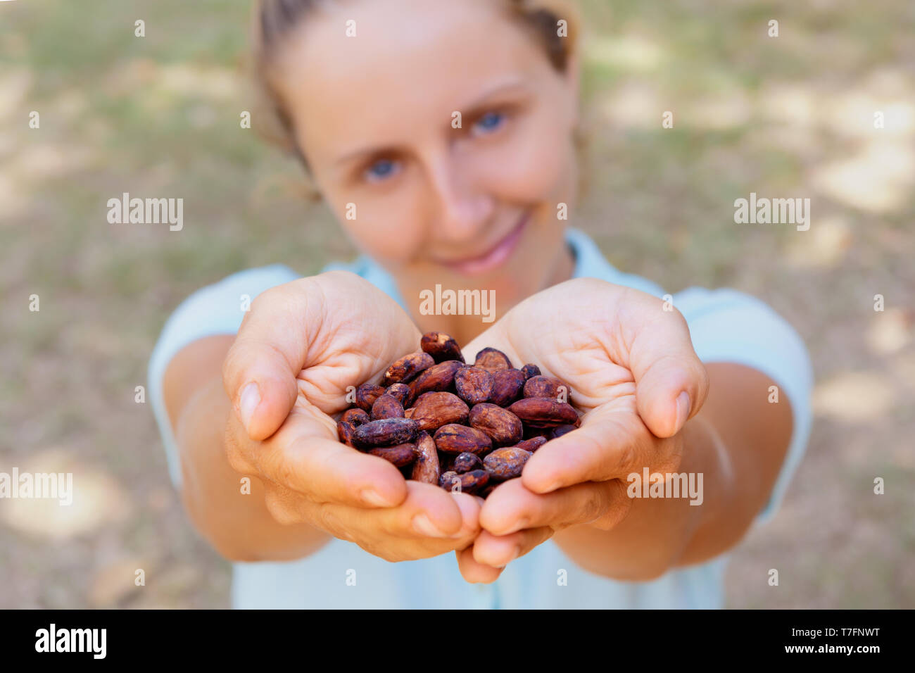 Gli alberi di cacao plantation harvest. Donna tenere in mano marrone fermentato secchi fave. Frutti di piante di cacao utilizzato nell industria alimentare per la produzione di cioccolato, Foto Stock