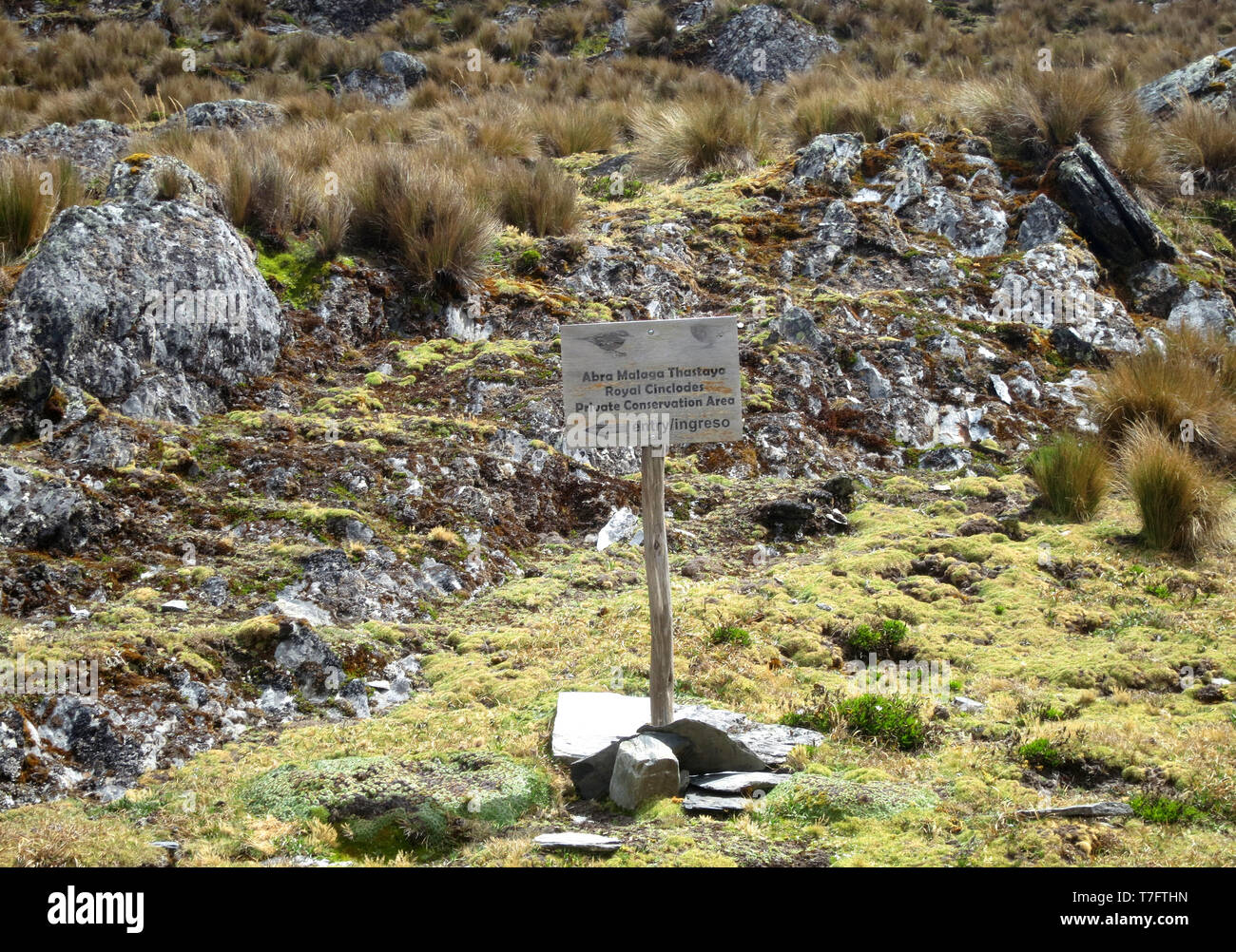Segno per inizio del sentiero per Royal Cinclodes habitat nella parte superiore dell'Abra Malaga passano in alto Ande del Perù. Parte della Cordigliera Vilcanota mou Foto Stock