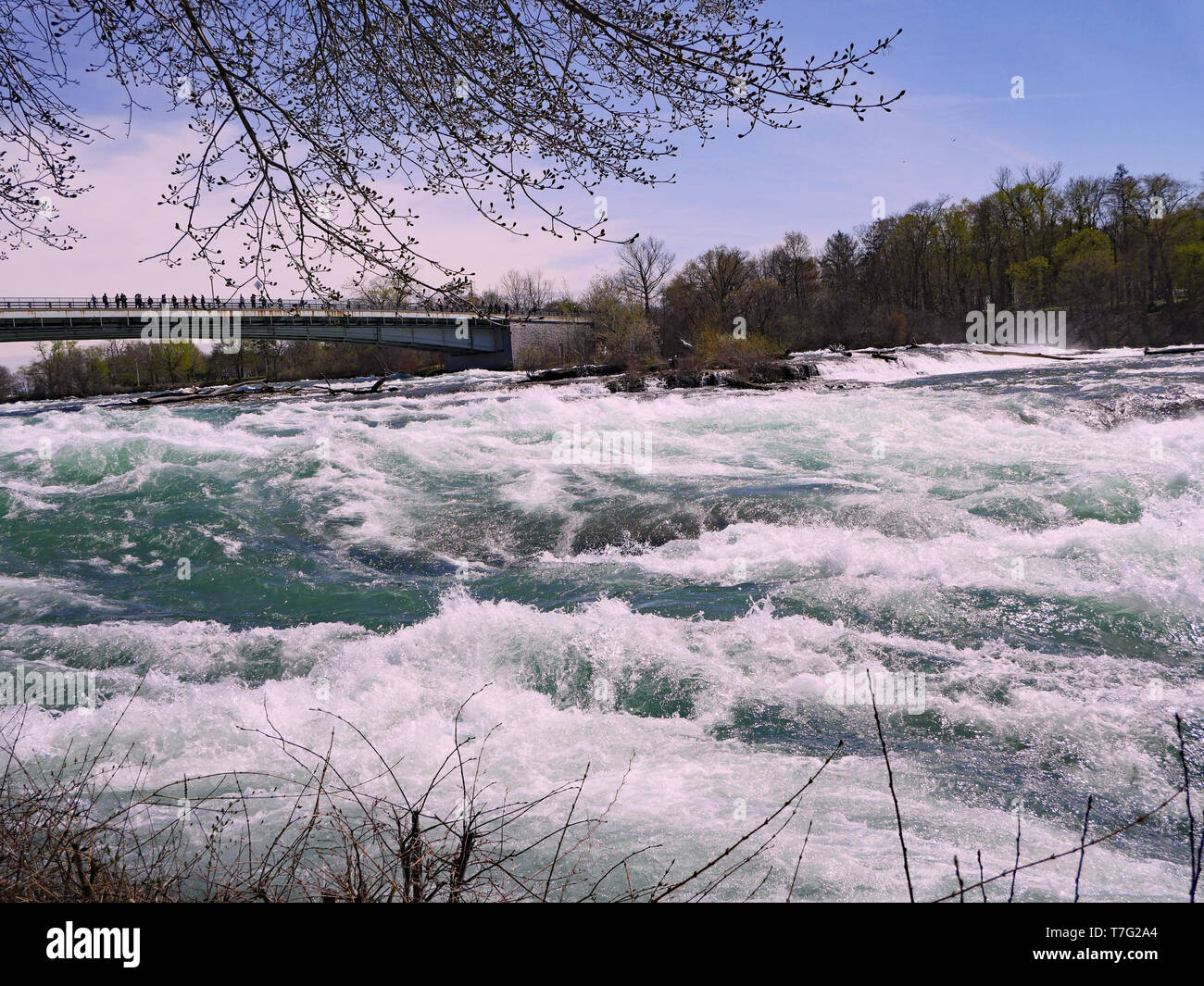 Acqua Bianca rapide del fiume Niagara sopra le Cascate del Niagara Foto Stock