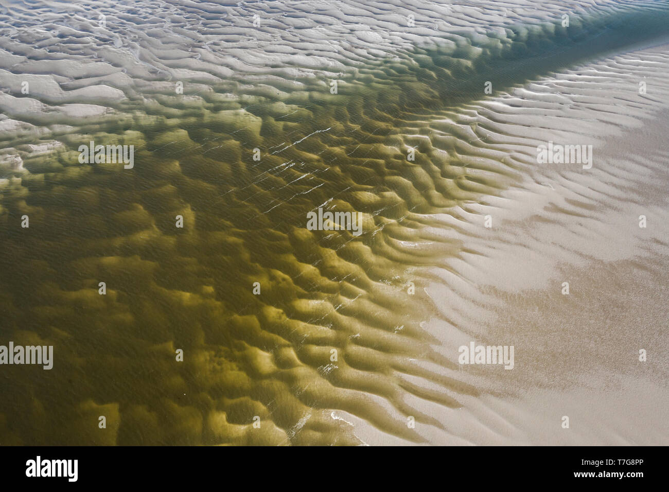 Vista da un piano. Ghebi e velme alla Germania il Wadden Sea. Foto Stock