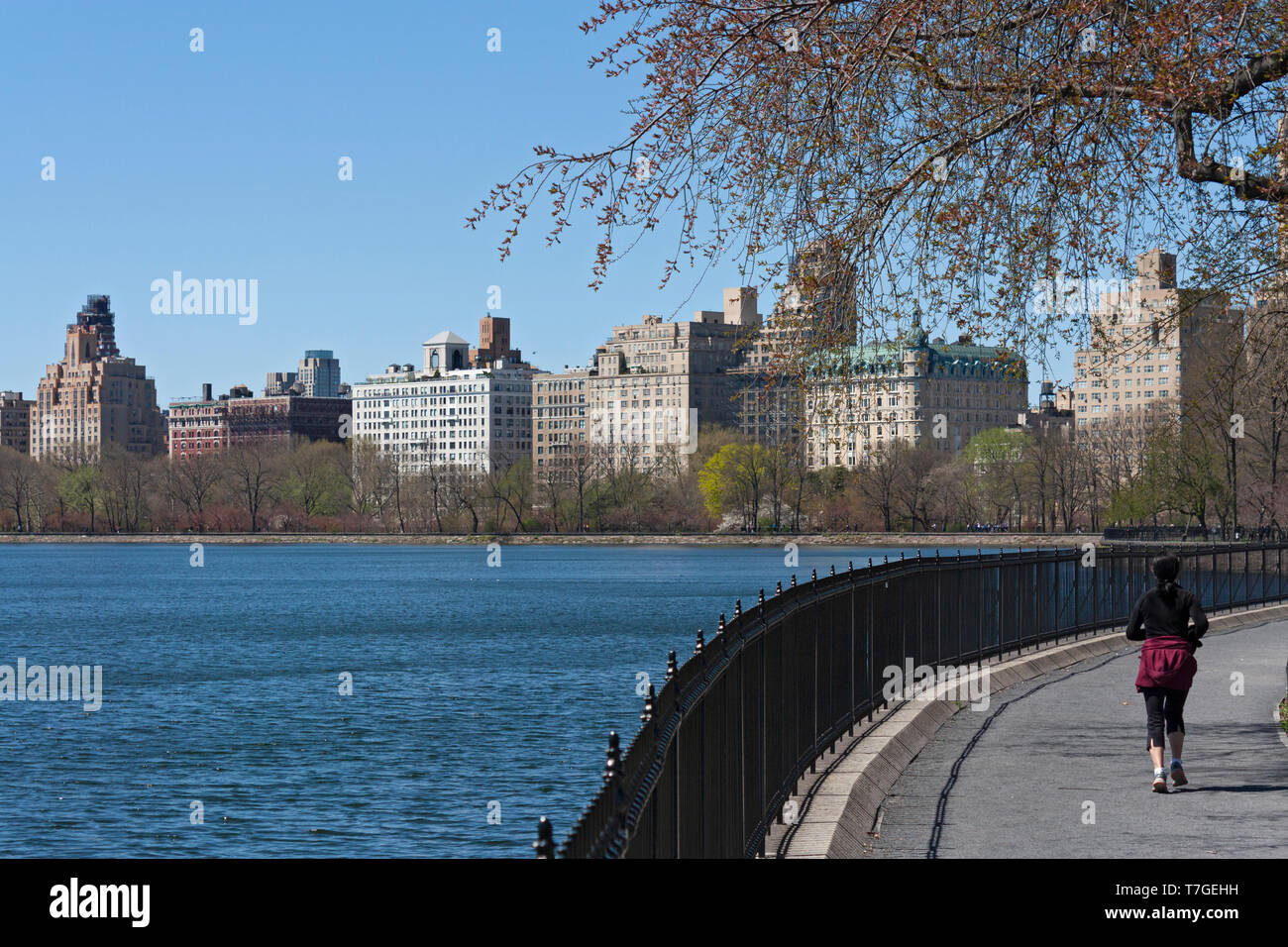 Jacqueline Kennedy Onassis Reservoir, Central Park, Upper Manhattan, New York City, Stati Uniti d'America Foto Stock