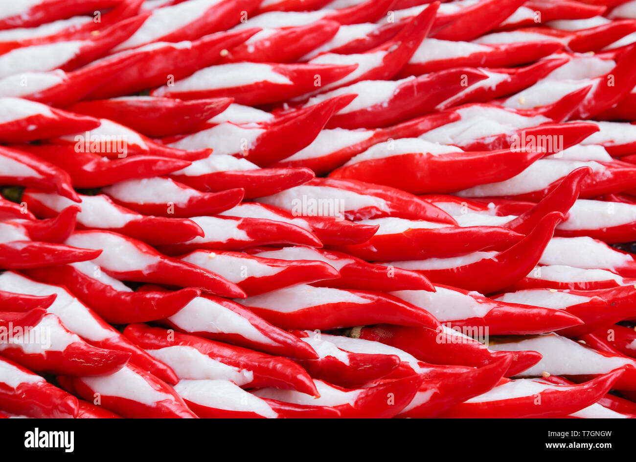 Peperoncini ripieni con pasta di pesce. Comunemente noto come Yong Tau Foo in Malaysia. Foto Stock