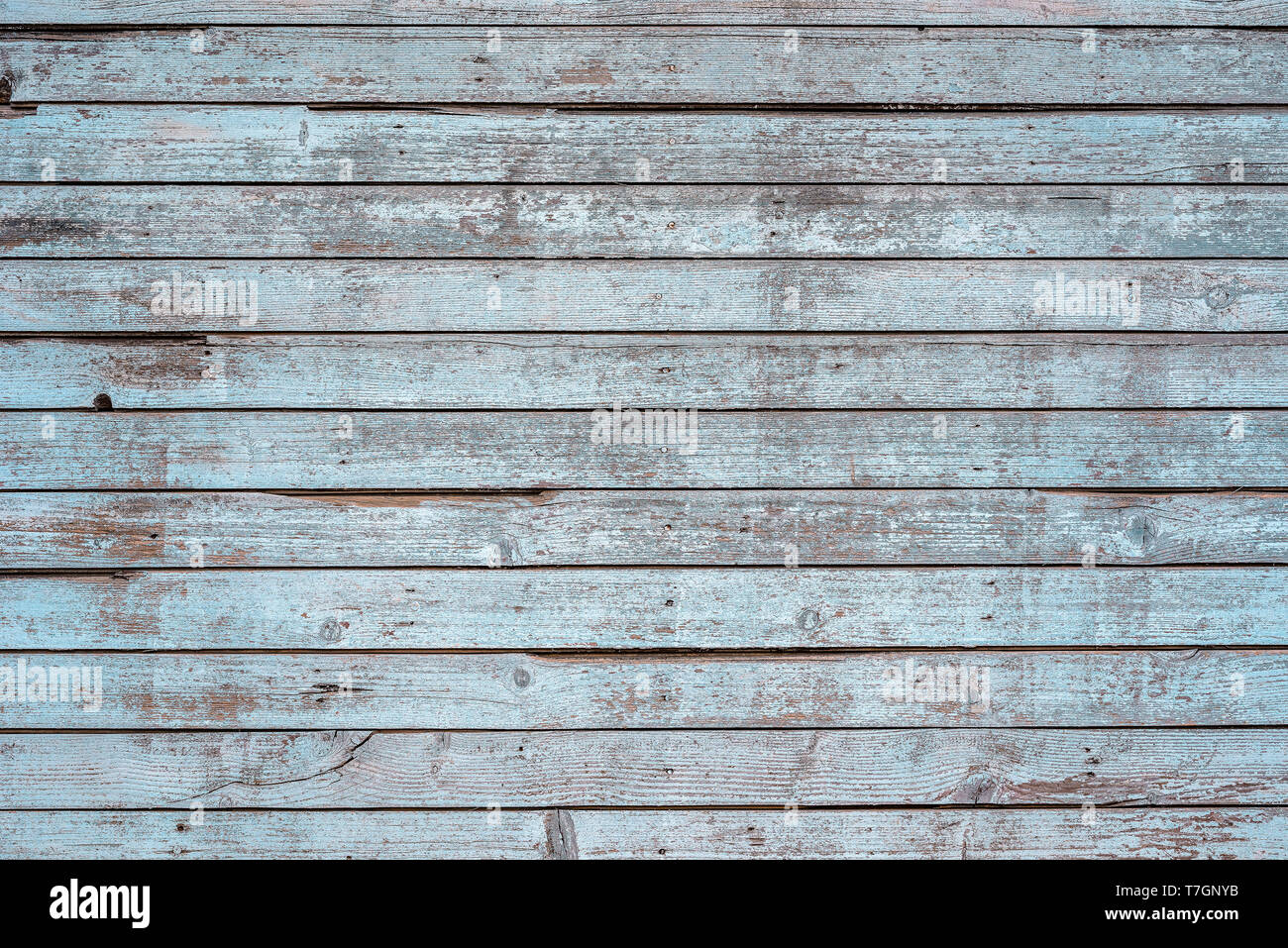 Bianche antiche weathered doghe in legno a muro come sfondo, grunge texture pattern con graffi e vernice peel off dettagli Foto Stock