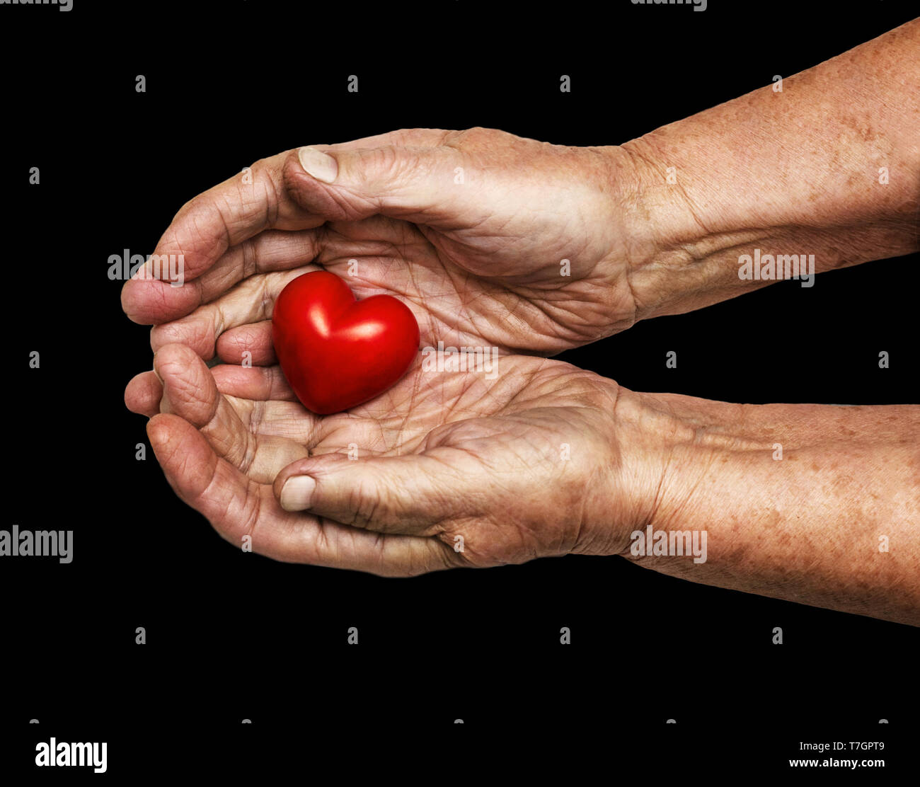 Donna anziana mantenendo il cuore rosso nel suo palms isolati su sfondo bianco, simbolo di attenzione e di amore Foto Stock