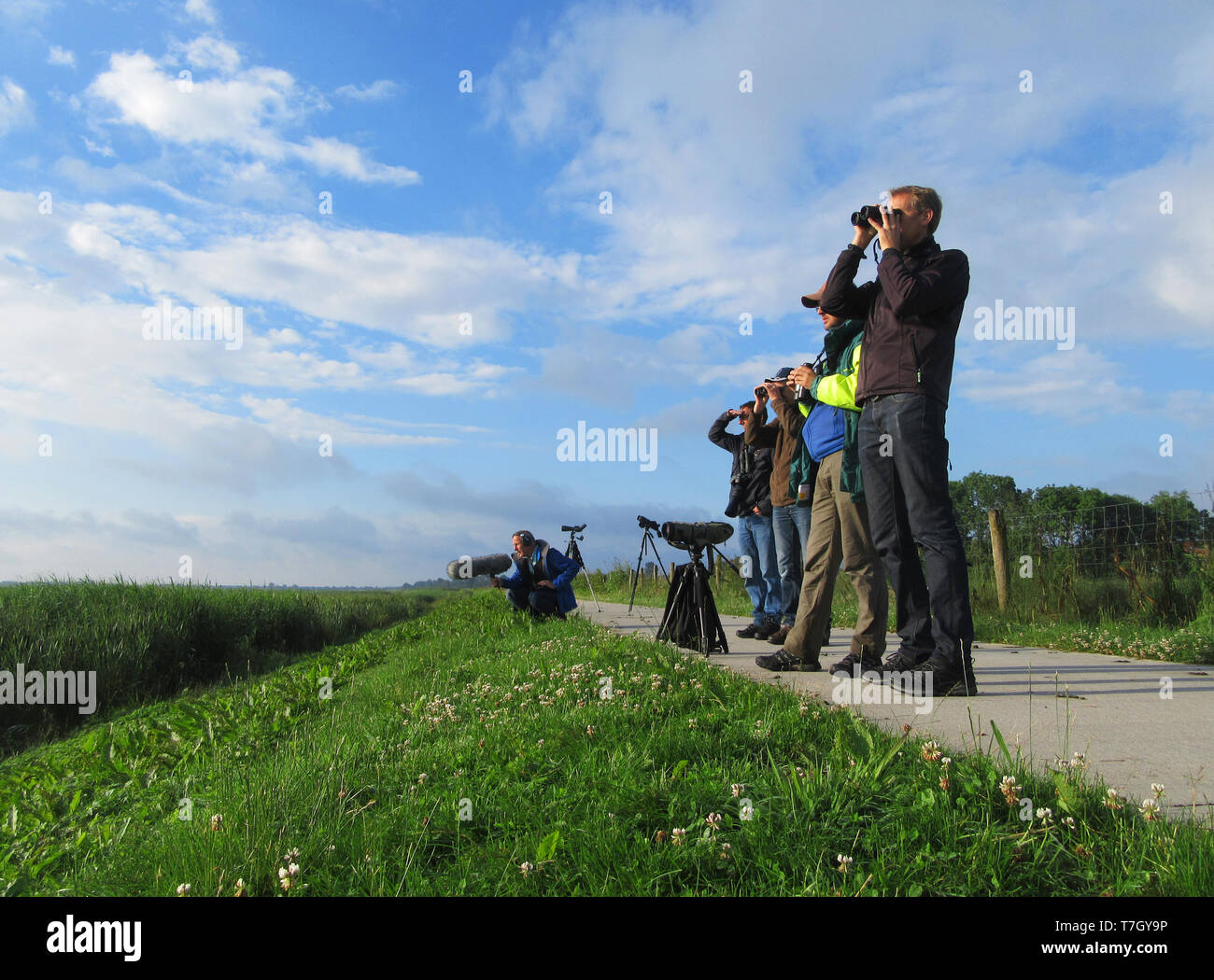Gruppo di birdwatcher la cordatura su una diga sul bordo del Parco Nazionale "Wieden" in Overijssel, Paesi Bassi. Guardando gli uccelli acquatici e wildlif Foto Stock