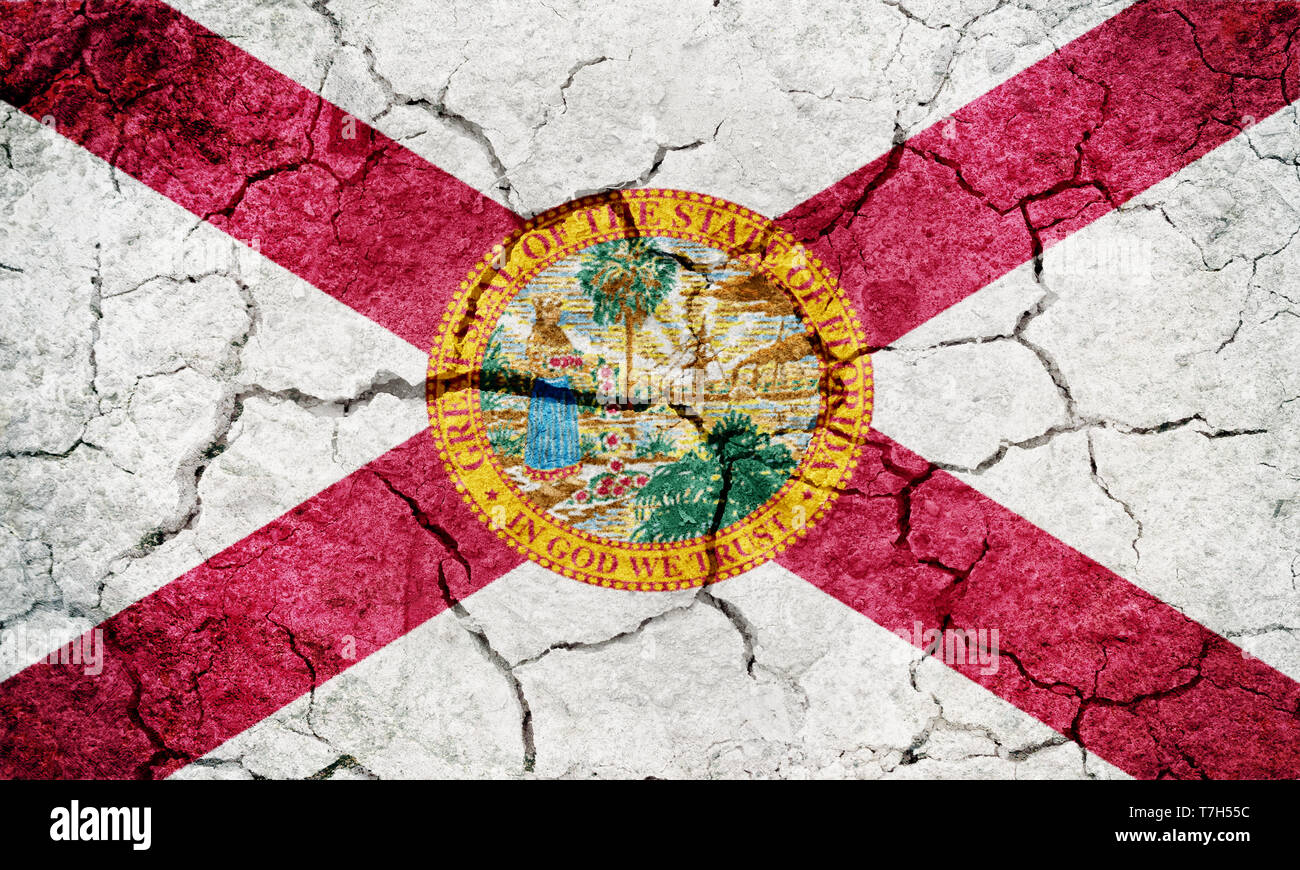 Stato di bandiera della Florida meridionale, in cui il contiguo Stato negli Stati Uniti, sul secco di messa a terra sullo sfondo di texture Foto Stock