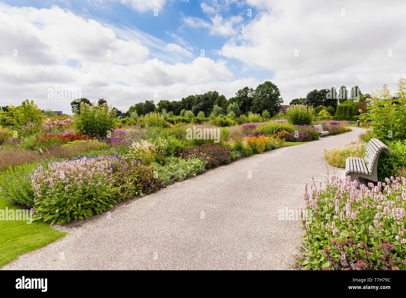 Vlinderhof del giardino Designer Piet Oudolf a Maximapark in estate Foto Stock