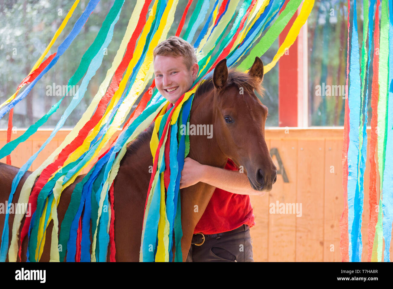 Sport iberica cavallo. Giovane uomo con bay puledro tra nastri colorati. Parte della formazione di accettare le cose più strane senza paura. Germania Foto Stock