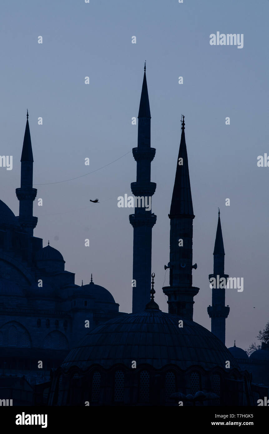 Lo Skyline di Istanbul, cupole e minareti, Turchia Foto Stock
