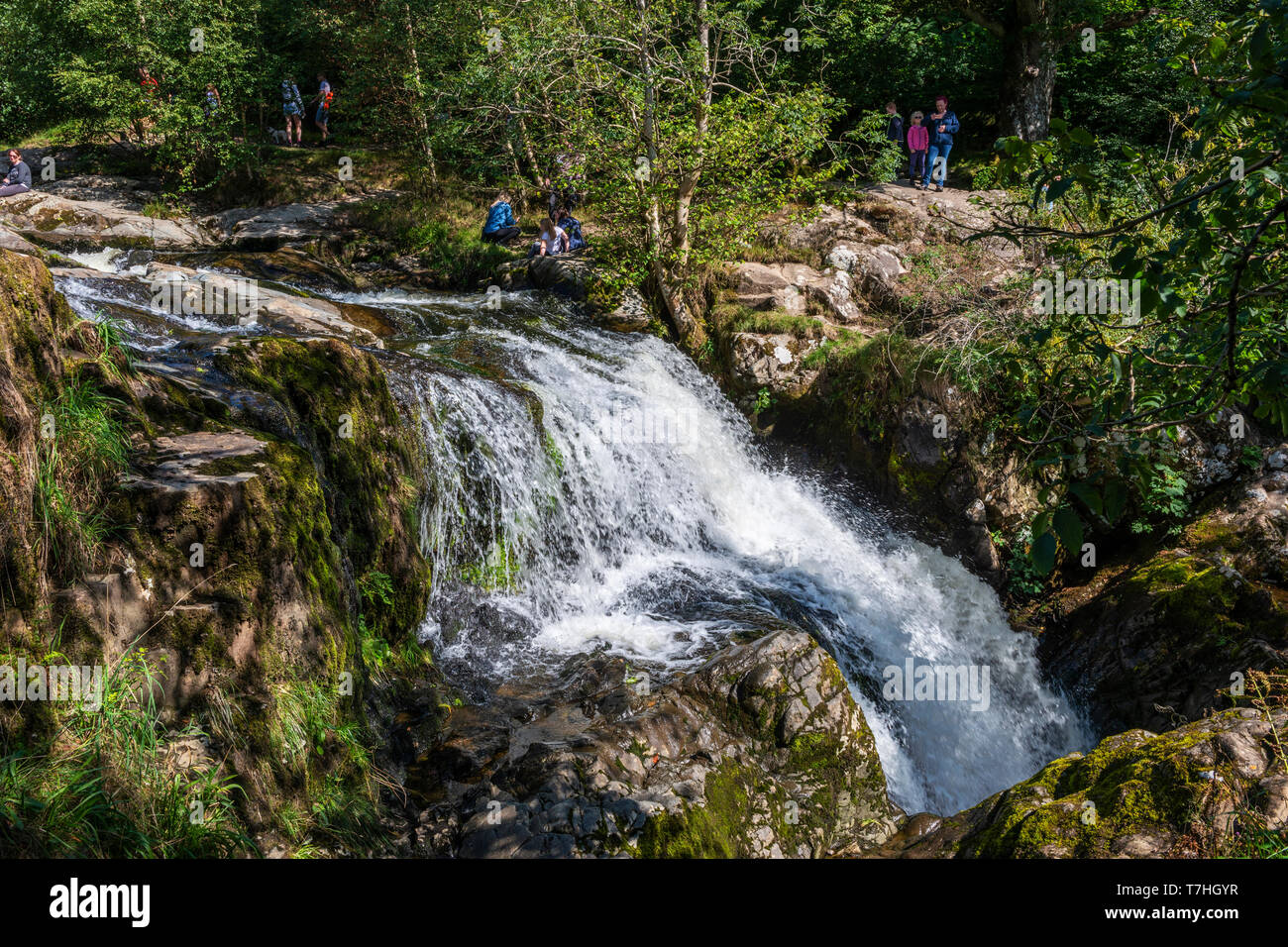 Aira Force cascata sull'Aira Beck fiume nel Parco Nazionale del Distretto dei Laghi, Cumbria, England, Regno Unito Foto Stock