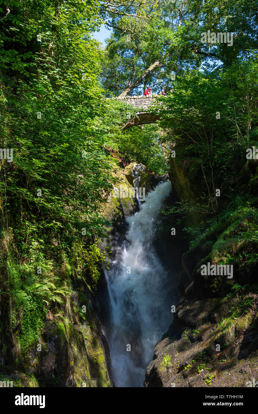 Aira Force cascata sull'Aira Beck fiume nel Parco Nazionale del Distretto dei Laghi, Cumbria, England, Regno Unito Foto Stock