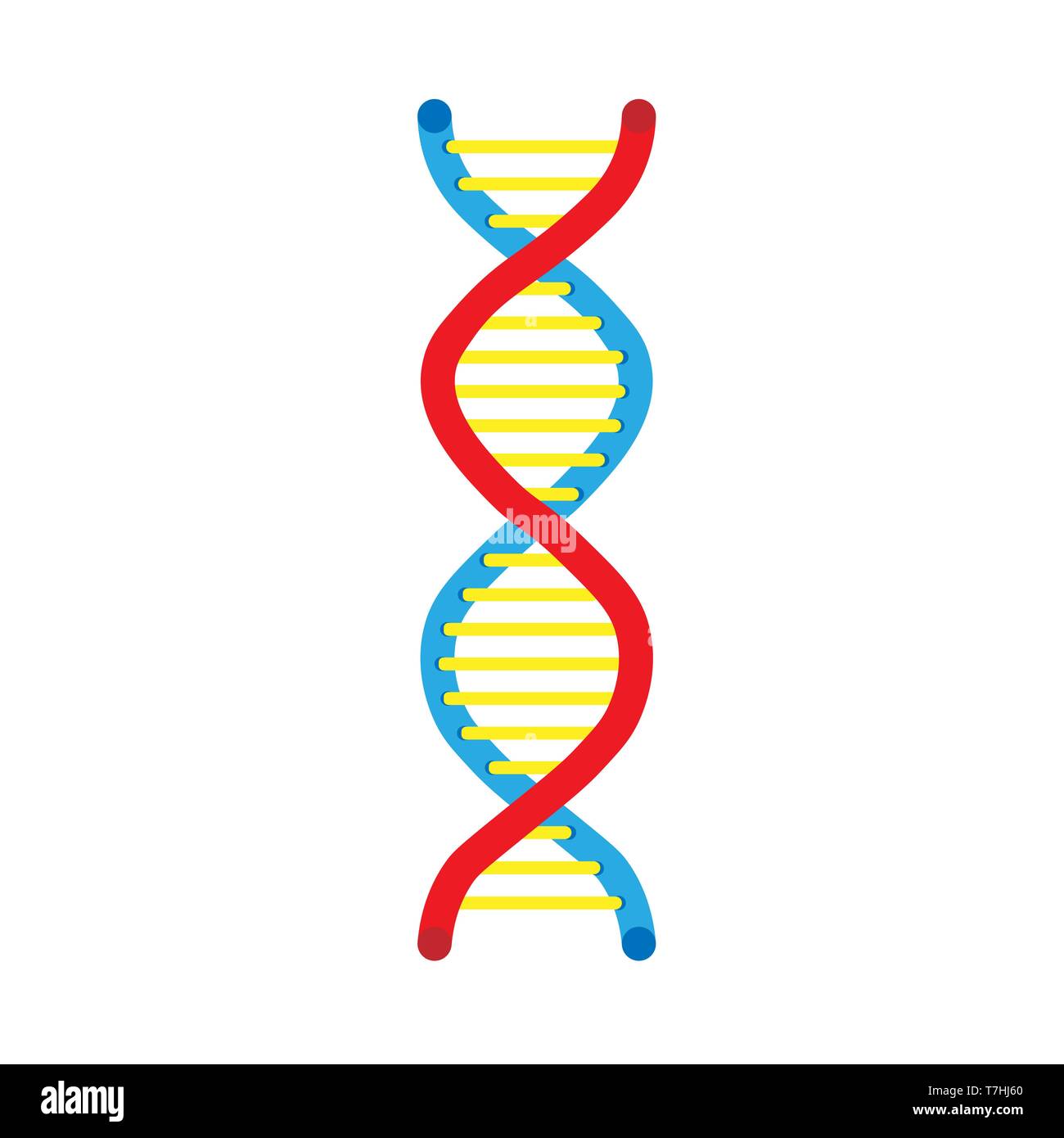 La scienza del DNA vettore icona molecola medical technology. Elemento chimico di ricerca gene helix esperimento atomo di cella Illustrazione Vettoriale