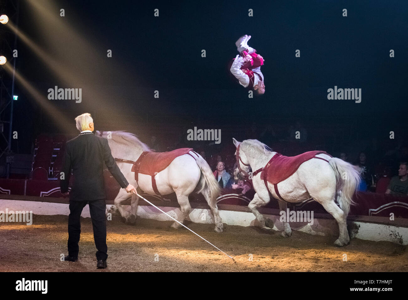 Attore jumping dal dorso di un cavallo Percheron all'altro durante uno spettacolo al circo Louis Knie junior, Austria Foto Stock