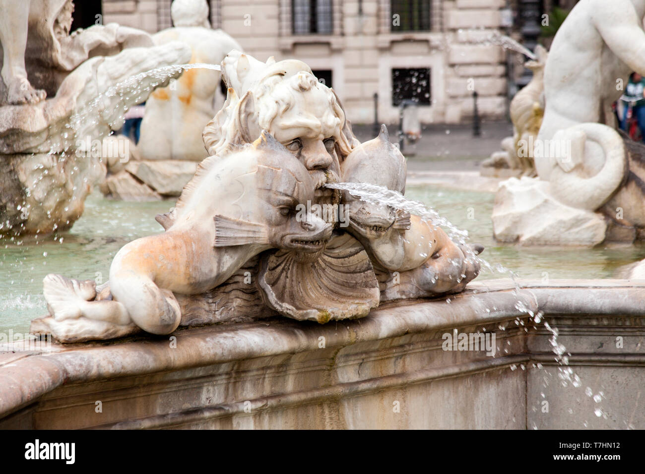 Moor Fontana del Moro è una fontana situata all'estremità meridionale della Piazza Navona, Roma, Italia. originariamente progettata da Giacomo della por Foto Stock