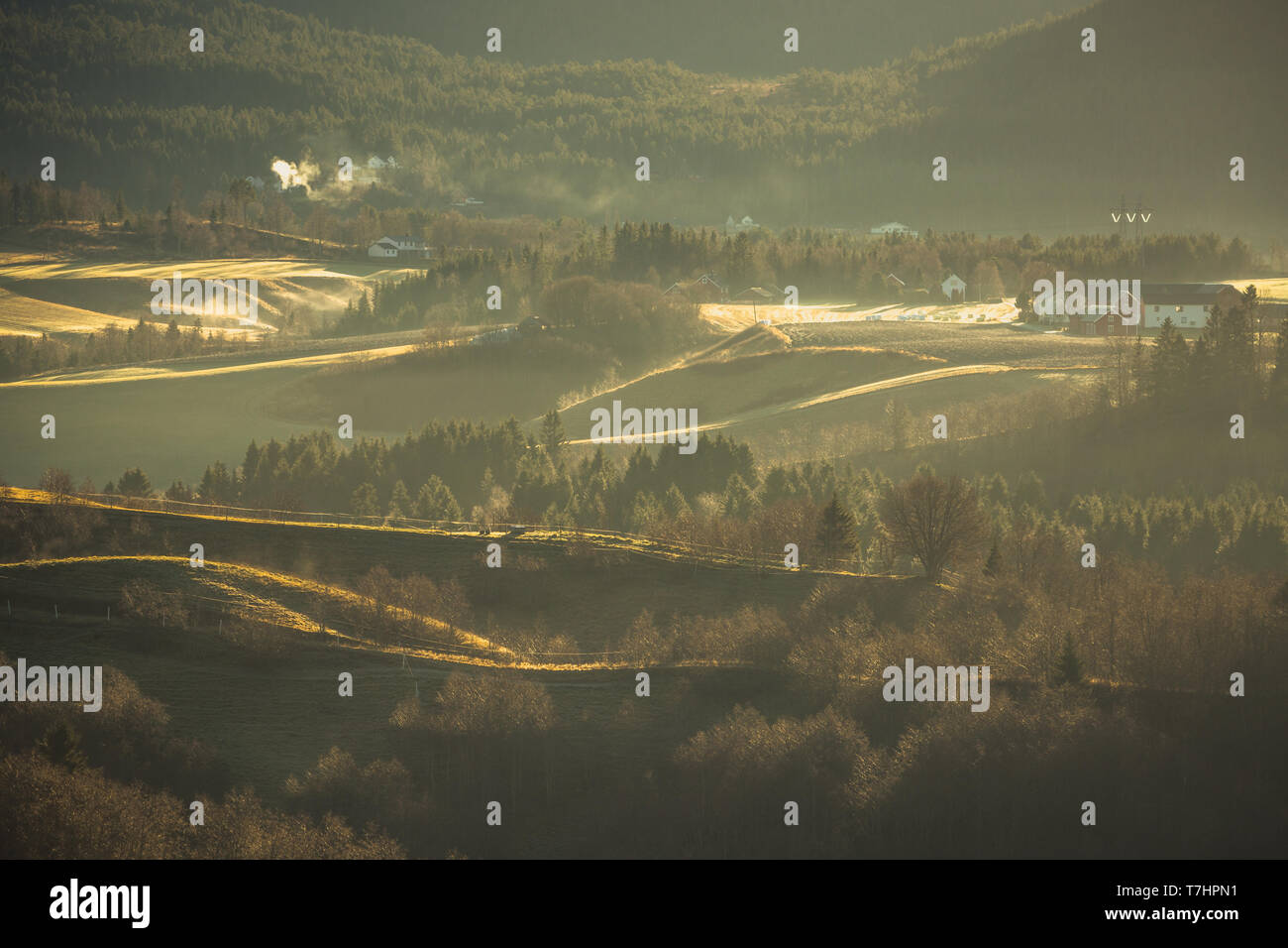 Splendidi paesaggi al di fuori di Trondheim in area rurale di Bratsberg. Alberi lontani, colline e villaggi. Caldo, bassa luce di sunrise e nebbiosa aria. Norvegia Foto Stock